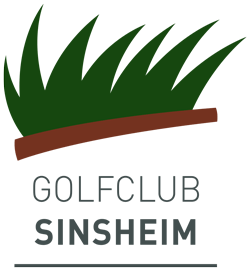 logo-gcs