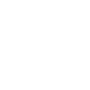 logo-weiss